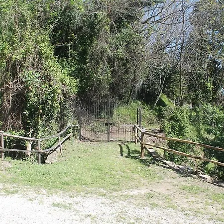 Apartment Il Guscio Corsanico-Bargecchia